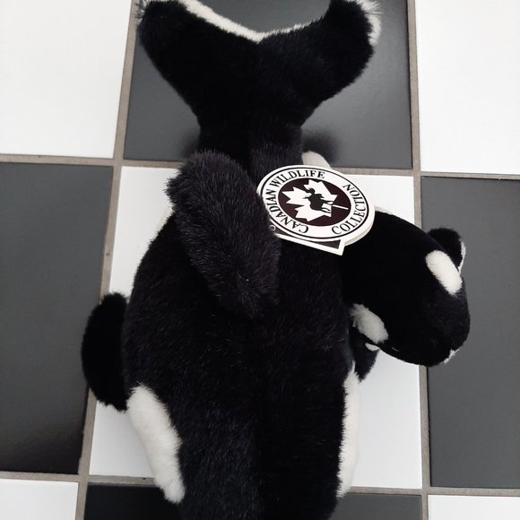 Whale - Picture 10 of 10